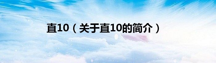 直10（关于直10的简介）