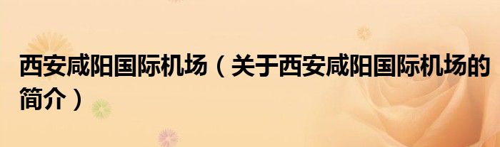 西安咸阳国际机场（关于西安咸阳国际机场的简介）