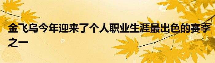 金飞乌今年迎来了个人职业生涯最出色的赛季之一