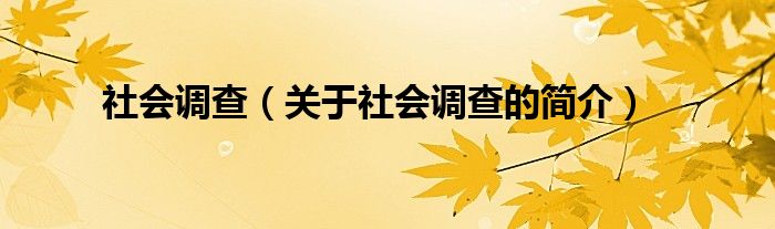 社会调查（关于社会调查的简介）