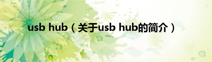 usb hub（关于usb hub的简介）
