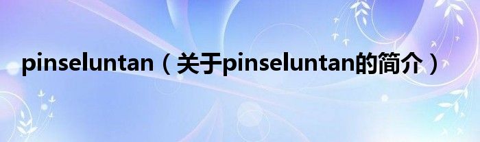 pinseluntan（关于pinseluntan的简介）