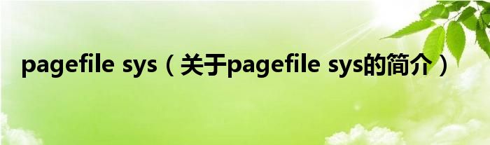 pagefile sys（关于pagefile sys的简介）