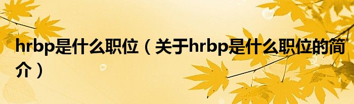 hrbp是什么职位（关于hrbp是什么职位的简介）