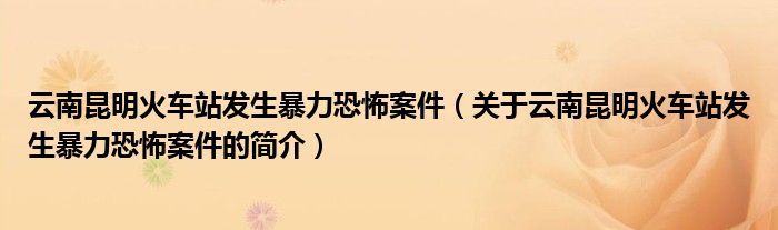 云南昆明火车站发生暴力恐怖案件（关于云南昆明火车站发生暴力恐怖案件的简介）