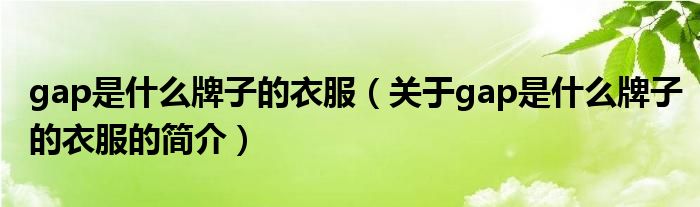 gap是什么牌子的衣服（关于gap是什么牌子的衣服的简介）