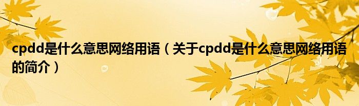 cpdd是什么意思网络用语（关于cpdd是什么意思网络用语的简介）