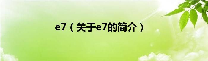 e7（关于e7的简介）