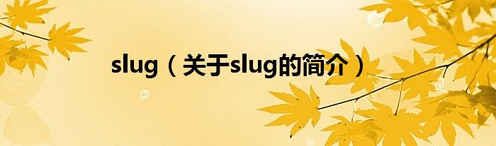 slug（关于slug的简介）