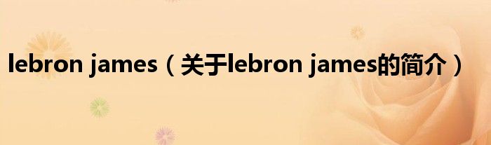 lebron james（关于lebron james的简介）