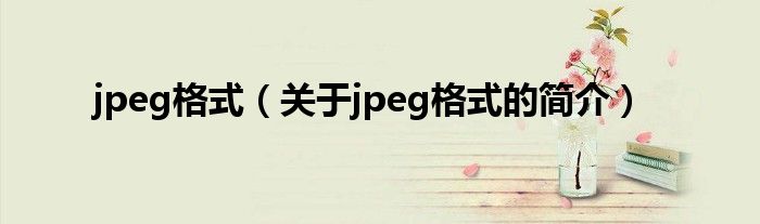 jpeg格式（关于jpeg格式的简介）