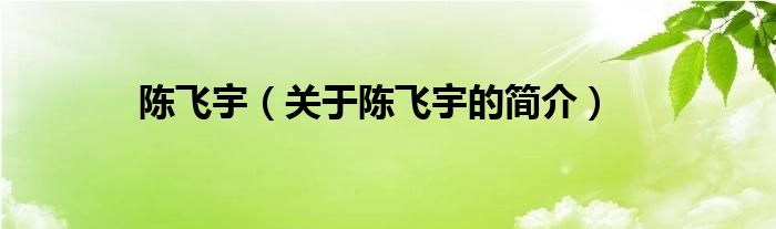陈飞宇（关于陈飞宇的简介）