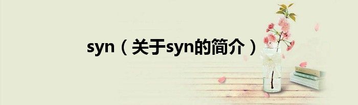 syn（关于syn的简介）