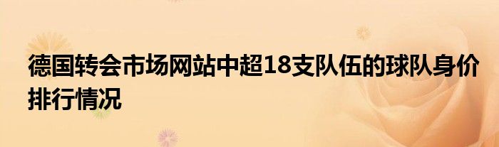 德国转会市场网站中超18支队伍的球队身价排行情况