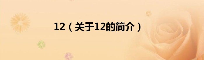 12（关于12的简介）