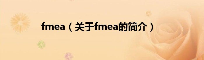 fmea（关于fmea的简介）