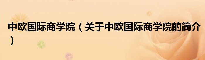 中欧国际商学院（关于中欧国际商学院的简介）