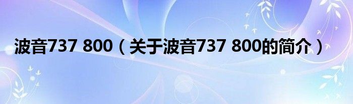 波音737 800（关于波音737 800的简介）