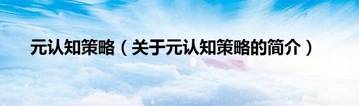 元认知策略（关于元认知策略的简介）