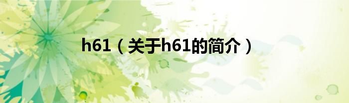 h61（关于h61的简介）