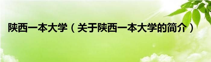 陕西一本大学（关于陕西一本大学的简介）