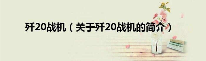 歼20战机（关于歼20战机的简介）