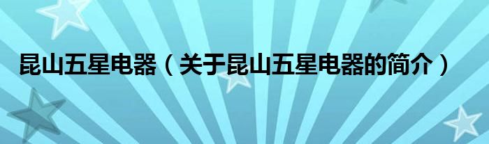 昆山五星电器（关于昆山五星电器的简介）