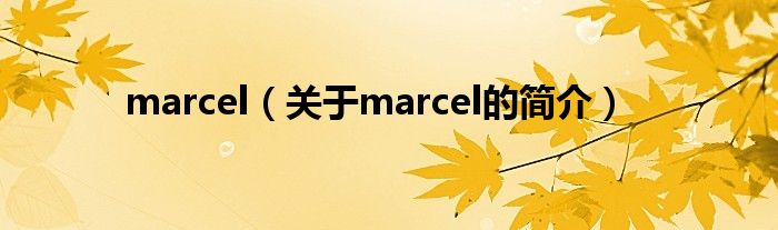 marcel（关于marcel的简介）