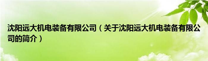 沈阳远大机电装备有限公司（关于沈阳远大机电装备有限公司的简介）