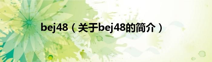bej48（关于bej48的简介）