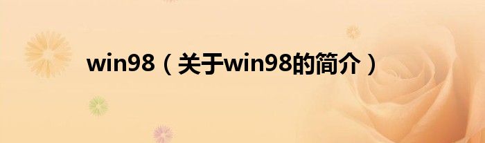 win98（关于win98的简介）