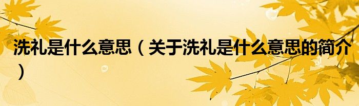 洗礼是什么意思（关于洗礼是什么意思的简介）