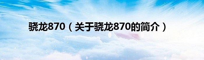 骁龙870（关于骁龙870的简介）