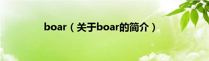 boar（关于boar的简介）