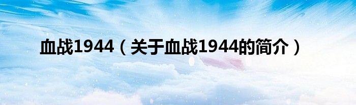 血战1944（关于血战1944的简介）