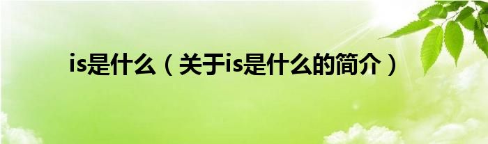 is是什么（关于is是什么的简介）