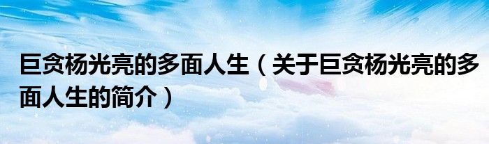 巨贪杨光亮的多面人生（关于巨贪杨光亮的多面人生的简介）