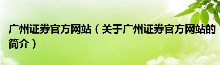 广州证券官方网站（关于广州证券官方网站的简介）