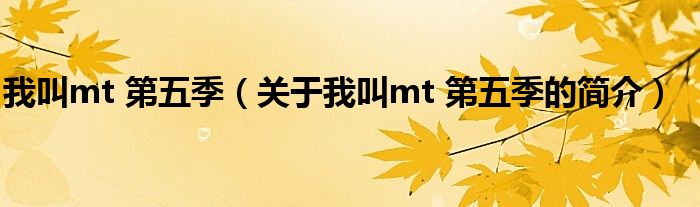 我叫mt 第五季（关于我叫mt 第五季的简介）