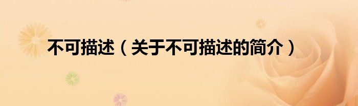 不可描述（关于不可描述的简介）