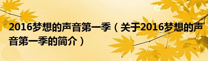 2016梦想的声音第一季（关于2016梦想的声音第一季的简介）
