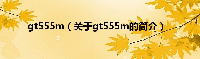 gt555m（关于gt555m的简介）