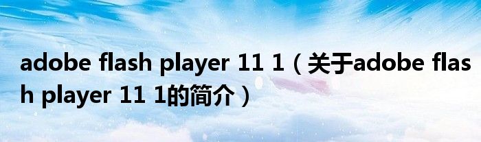 adobe flash player 11 1（关于adobe flash player 11 1的简介）