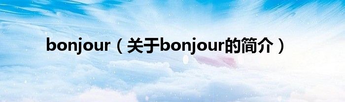 bonjour（关于bonjour的简介）