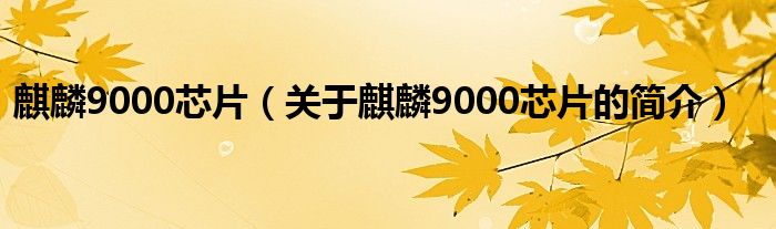 麒麟9000芯片（关于麒麟9000芯片的简介）