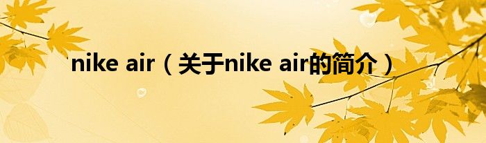 nike air（关于nike air的简介）