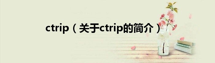 ctrip（关于ctrip的简介）