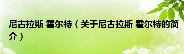 尼古拉斯 霍尔特（关于尼古拉斯 霍尔特的简介）