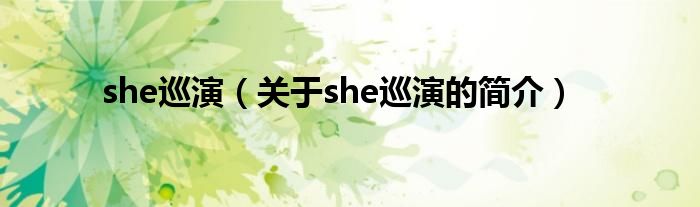 she巡演（关于she巡演的简介）