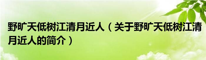 野旷天低树江清月近人（关于野旷天低树江清月近人的简介）